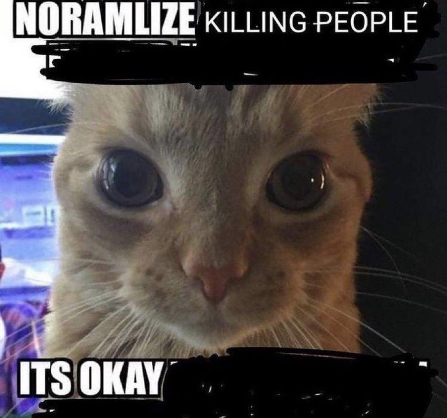 cat says "Normalize killing ppl its okay."